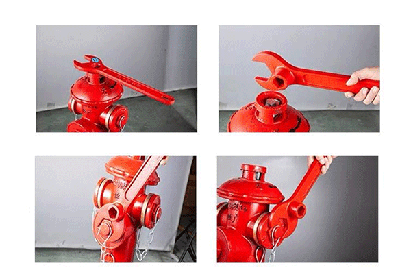 1756099906829948.png 13.png